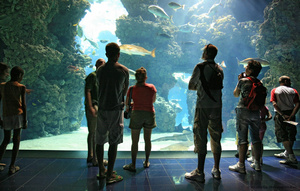 океанографический музей государства Монако 