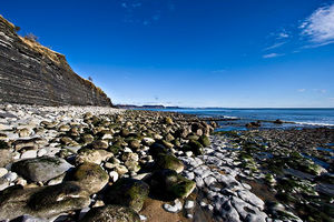 пляж Юрского периода